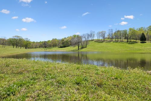 16700 Campbellsville Rd, Lynnville, TN, 38472-8158 | Card Image