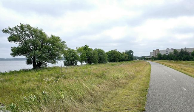 Natural shoreline.jpg | Image 6