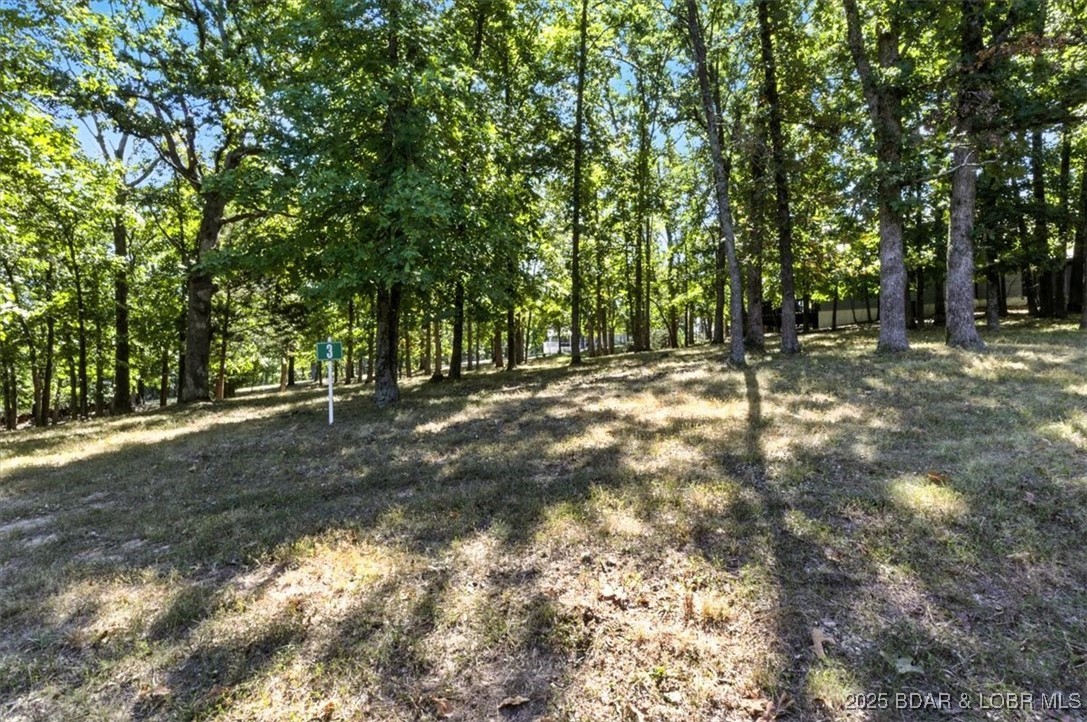 Land in Osage Beach 3