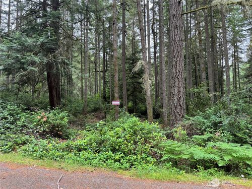 11308 114th Street Ct, Anderson Island, WA, 98303 | Card Image