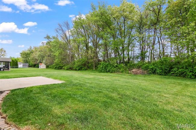 View of yard with an outdoor structure and a shed | Image 31