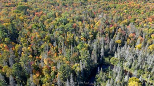 PT LT 5 Con 14 South Horn Lake Road, Armour, ON, P0A1C0 | Card Image