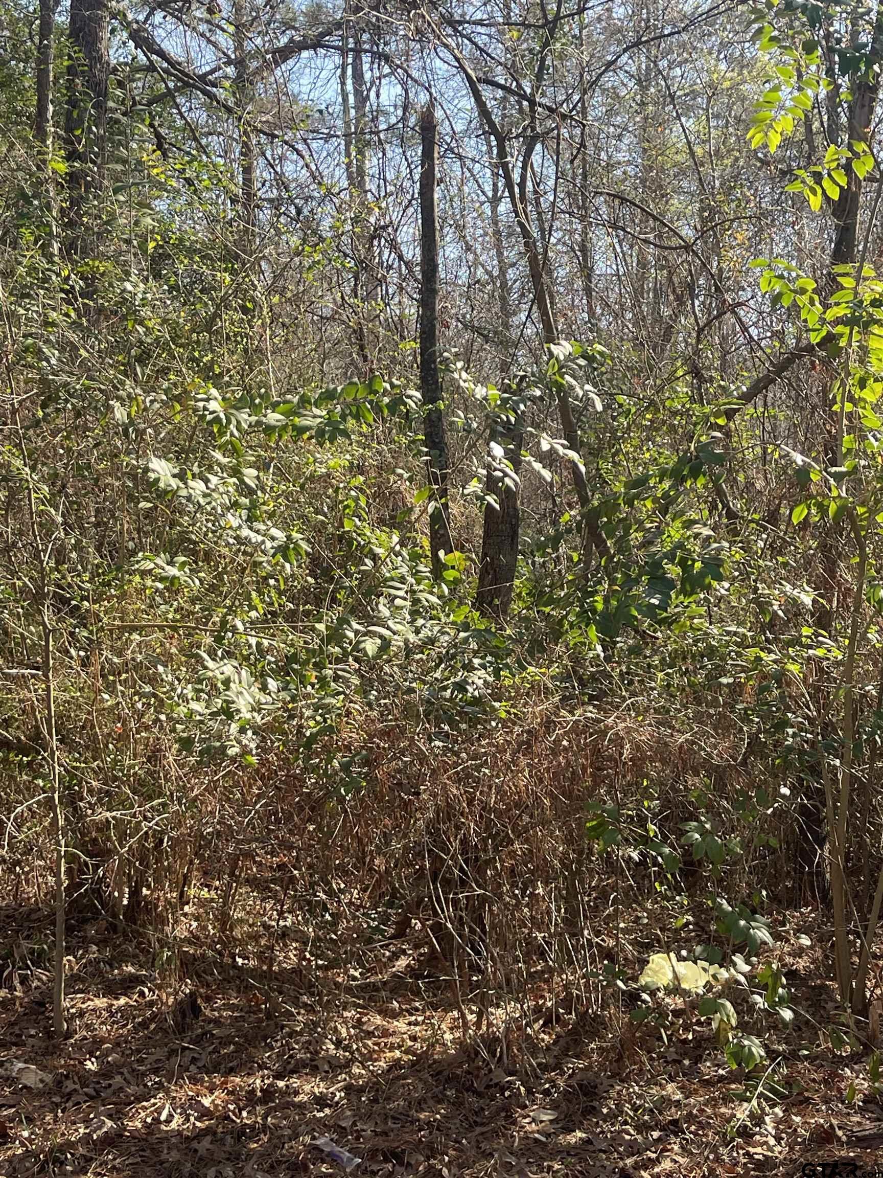 Land in Troup 3