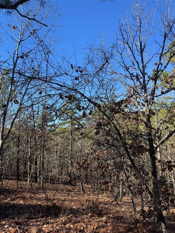 Land in Broken Bow 4