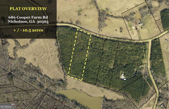 686 Cooper Farm Rd, Home with 0 bedrooms, 0 bathrooms and null parking in Nicholson GA | Image 14