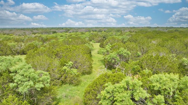 View of wooded area | Image 6