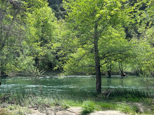 1790 Steel Bridge Rd, Douglas City, CA, 96024 | Card Image