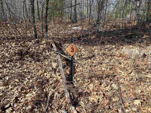 Lot 3 Acorn Ridge Road, Mosinee, WI, 54455 | Card Image