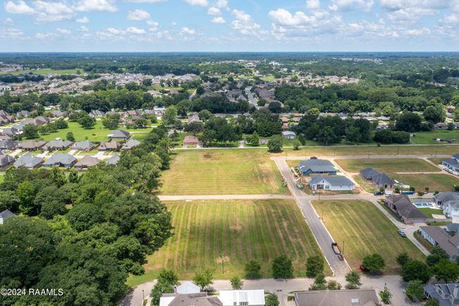 Lot1-4 | Image 6