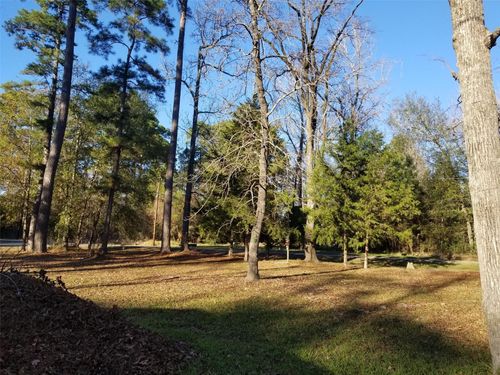 TBD Acorn, Livingston, TX, 77351 | Card Image