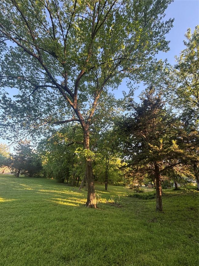 0 E Williams St, Home with 0 bedrooms, 0 bathrooms and null parking in Saint Jo TX | Image 11