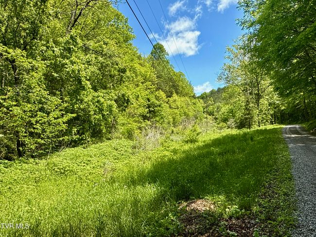 47 Tbd Enoch Rd, Home with 0 bedrooms, 0 bathrooms and null parking in Eidson TN | Image 6