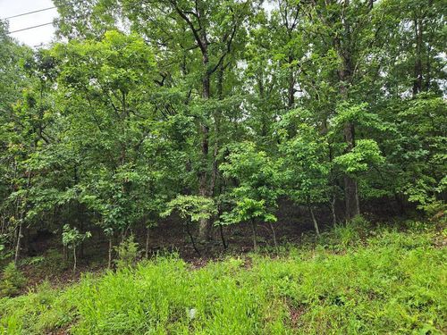 Lot 894, Camdenton, MO, 65020 | Card Image