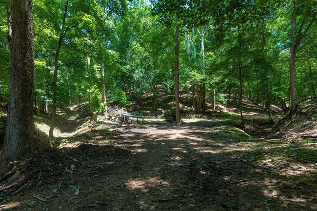 58501 Us Highway 50, Home with 0 bedrooms, 0 bathrooms and null parking in Mc Arthur OH | Image 79
