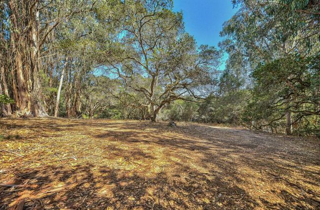 580 Snyder Ave, House other with 1 bedrooms, 1 bathrooms and 1 parking in Aromas CA | Image 17