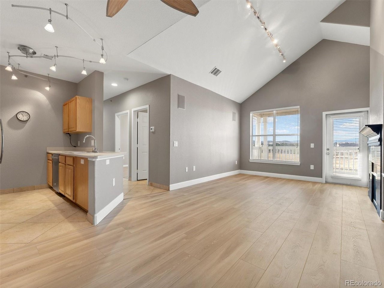 Residential in Castle Rock 3
