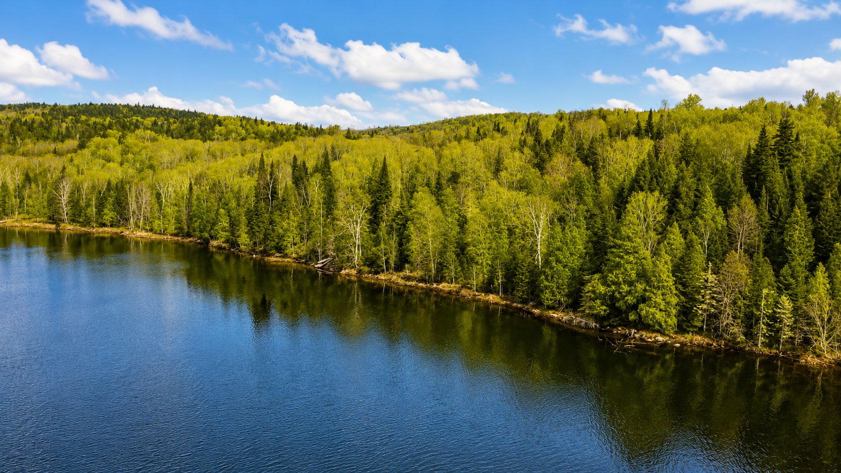 Land in Saint-Roch-de-Mékinac 4