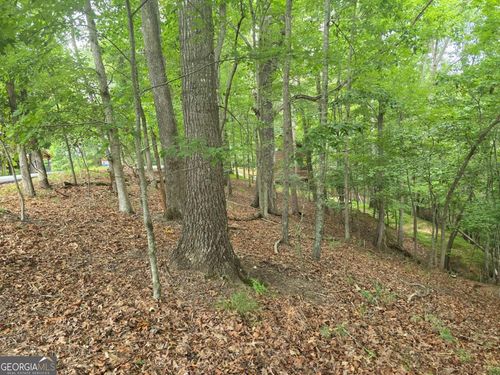 Lot 476 Riverview Dr, Ellijay, GA, 30540 | Card Image
