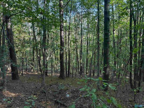 1028 Goddard Rd, Bear Creek, AL, 35543-4246 | Card Image