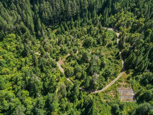 433 Old Stage Rd, Wolf Creek, OR, 97497-9703 | Card Image
