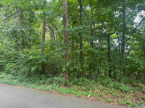 Lots 3-5 Halsey St, Gadsden, AL, 35901 | Card Image