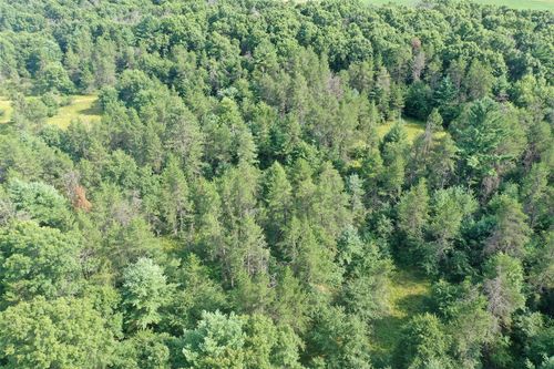 13160 Camp Rd, Fairchild, WI, 54741 | Card Image