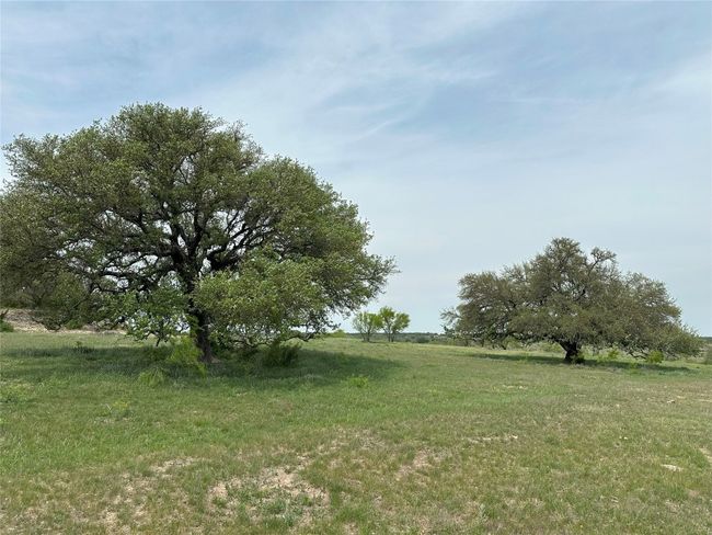 View of yard featuring a rural view | Image 7