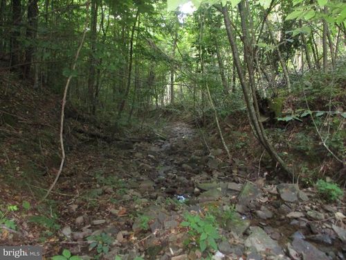 1000 Snake Rd, AURORA, WV, 26705 | Card Image