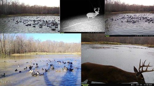 1 Rodney Bend Rd, Lorman, MS, 39096 | Card Image