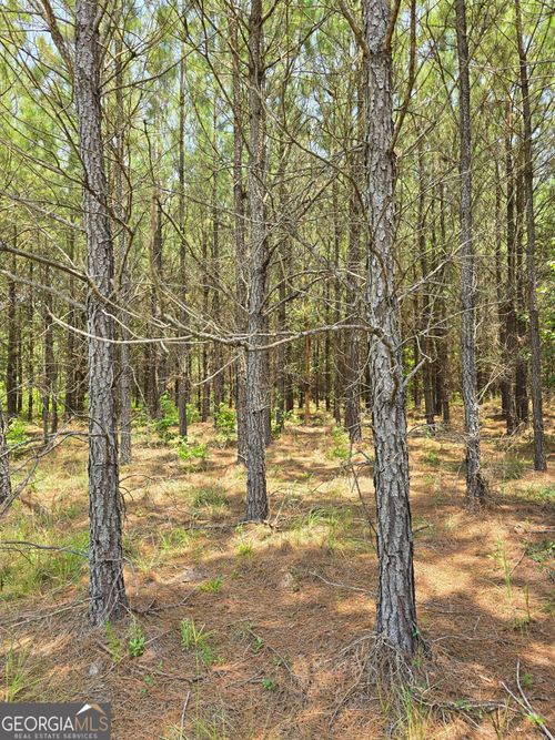 TBD Ga Hwy 56 N, Waynesboro, GA, 30830 | Card Image
