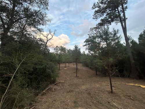 Tract 12 Sw Commerce St, Lovelady, TX, 75851 | Card Image