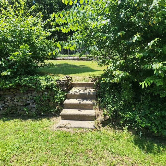 6435 Pangburn Rd, House other with 4 bedrooms, 3 bathrooms and null parking in Pangburn AR | Image 30
