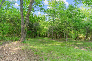 Land in Branson 2