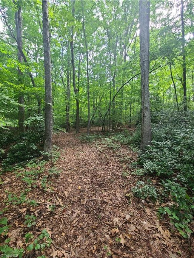 450 Crossing Creek Dr, Home with 0 bedrooms, 0 bathrooms and null parking in Belews Creek NC | Image 9