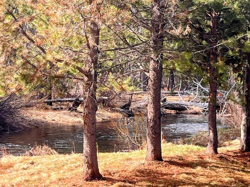 11762 Hemlock Creek Rd, Crescent Lake, OR, 97733-7088 | Card Image