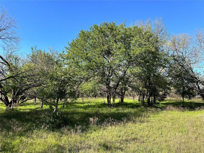 Lot 13 Cr 127, Home with 0 bedrooms, 0 bathrooms and null parking in Carlton TX | Image 23