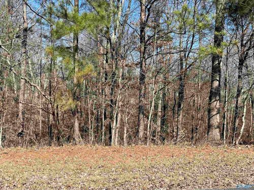 Lot 19 Deer Walk Dr, Guntersville, AL, 35976-5872 | Card Image