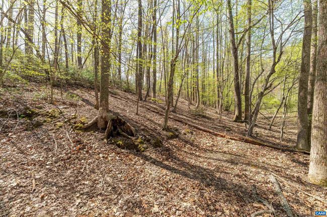 817 Brownings Cv, House other with 3 bedrooms, 2 bathrooms and null parking in SHIPMAN VA | Image 47