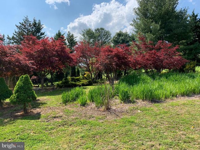 6502 Old Middletown Rd, House other with 3 bedrooms, 3 bathrooms and null parking in MIDDLETOWN MD | Image 76