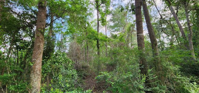 330 County Road 835, Home with 0 bedrooms, 0 bathrooms and null parking in Buna TX | Image 7