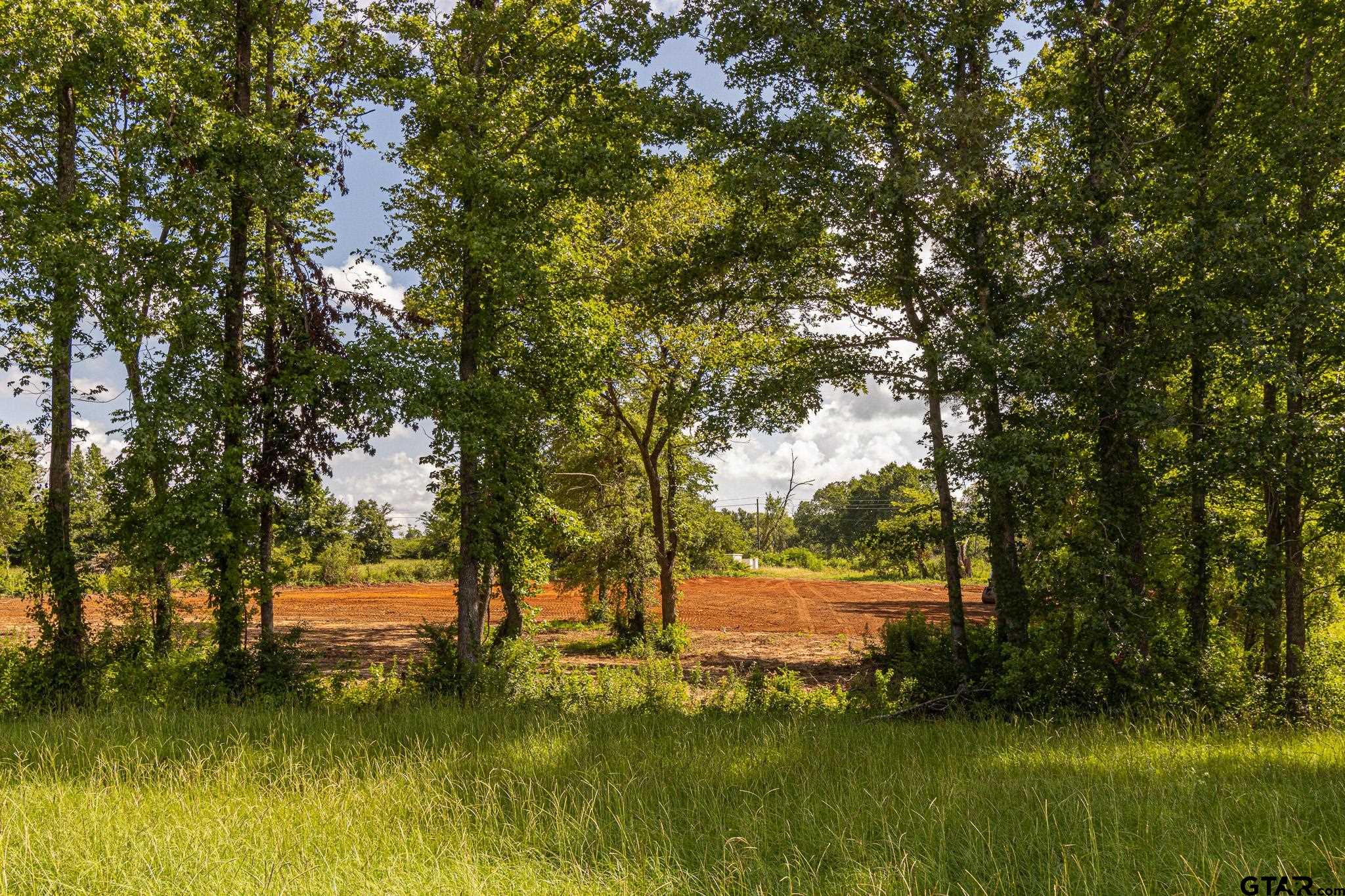 Land in Bullard 2