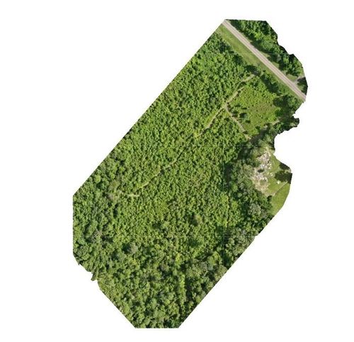 TBD Fm 1415 E, Burkeville, TX, 75932 | Card Image