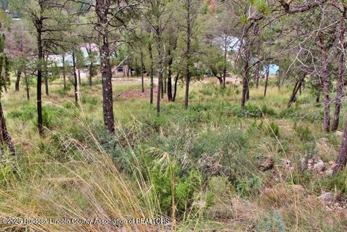 209 Warwick Dr, Ruidoso, NM, 88345 | Card Image