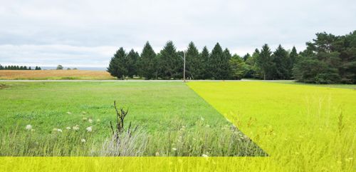 Lt2 Lakeshore Dr, Kewaunee, WI, 54216 | Card Image