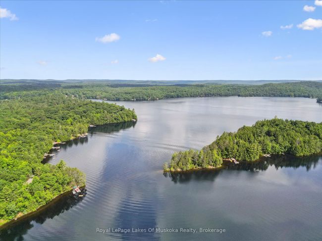 1176 Mccomb Point Dr, House other with 3 bedrooms, 3 bathrooms and 6 parking in Dorset ON | Image 48
