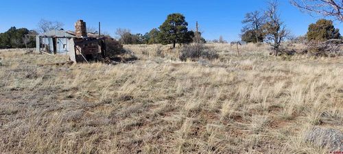 51981 Highway 491, Cahone, CO, 81320-8523 | Card Image