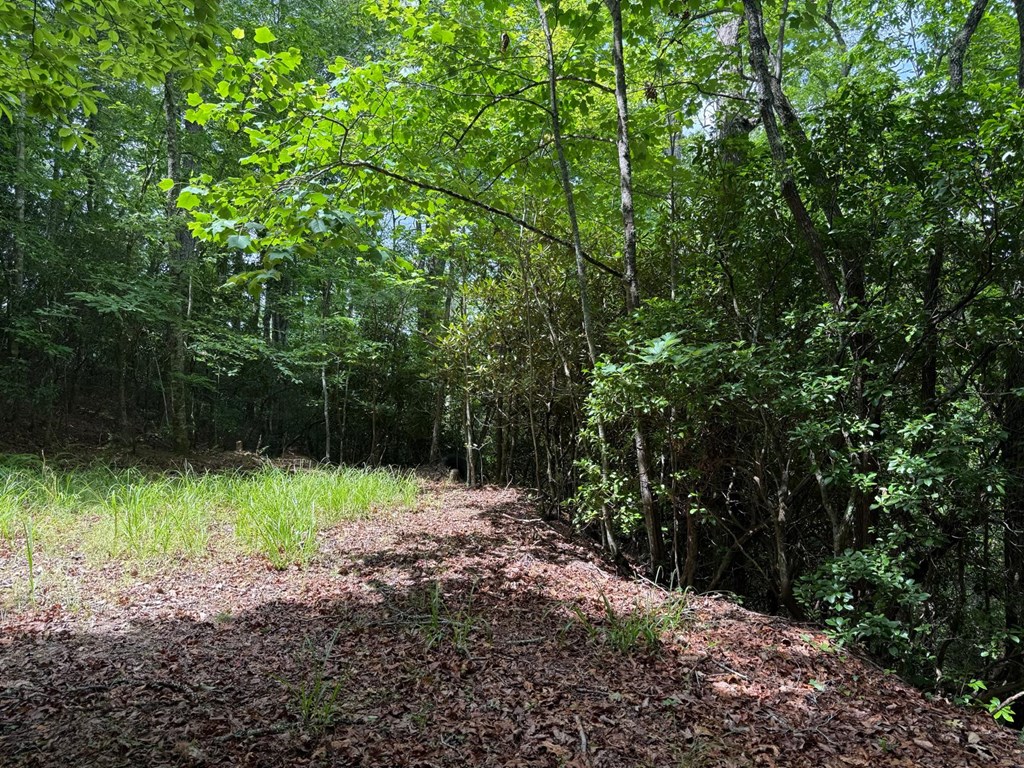 Land in Franklin 5