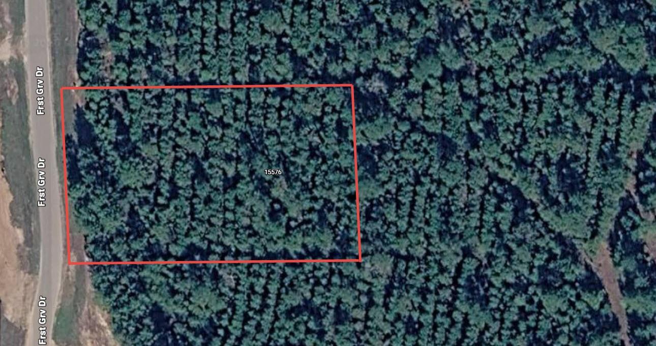 Land in Willis