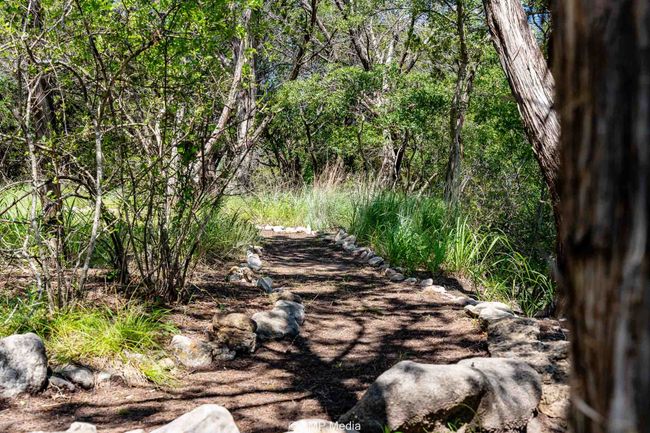 Walking Path | Image 6