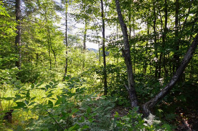 LOT-3 - 00 Vt Route 103 N, Home with 0 bedrooms, 0 bathrooms and null parking in Chester VT | Image 11